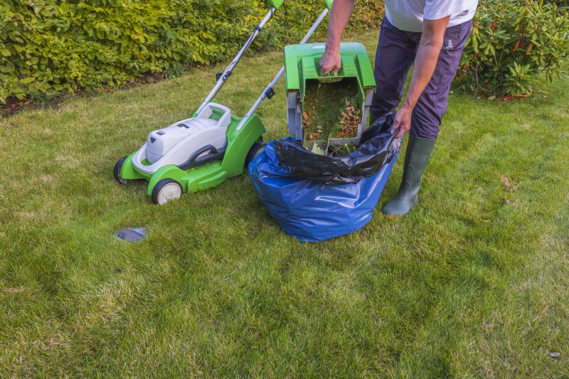 Clean Lawn Maintenance