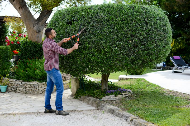 Landscaper Using Shears